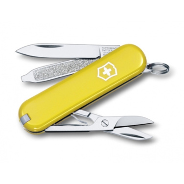 Logo trade promotional merchandise photo of: Pocket knife CLASSIC SD Victorinox