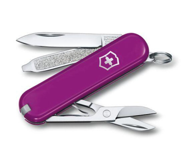 Logotrade promotional merchandise photo of: Pocket knife CLASSIC SD Victorinox