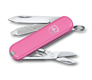 Logo trade promotional merchandise photo of: Pocket knife CLASSIC SD Victorinox