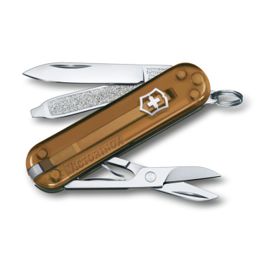 Logo trade promotional items image of: Pocket knife CLASSIC SD Victorinox