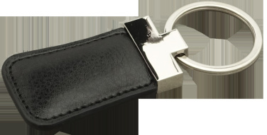 Logo trade promotional products image of: Keyring 91109500