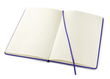 Logotrade promotional merchandise photo of: Notebook  82407600