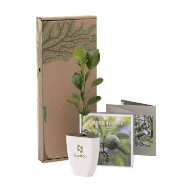 Logo trade promotional merchandise image of: Treemore Letterbox Trees Kaffir Lemon