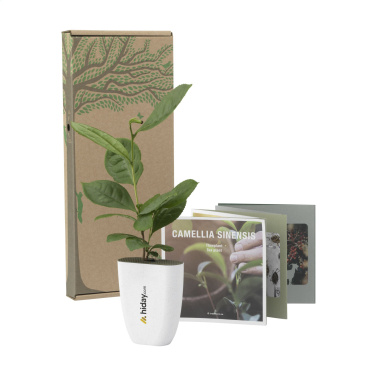 Logotrade promotional products photo of: Treemore Letterbox Trees Tea plant