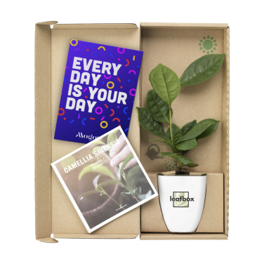 Logo trade promotional giveaway photo of: Treemore Letterbox Trees Tea plant