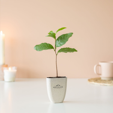 Logotrade corporate gift picture of: Treemore Letterbox Trees Tea plant