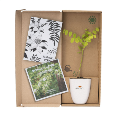 Logotrade promotional merchandise image of: Treemore Letterbox Trees Honey