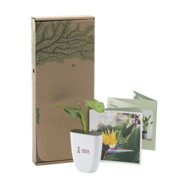 Logotrade promotional items photo of: Treemore Letterbox Trees Bird of Paradise plant