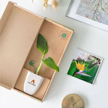 Logo trade promotional giveaways picture of: Treemore Letterbox Trees Bird of Paradise plant