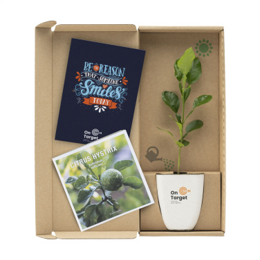 Logo trade promotional merchandise image of: Treemore Letterbox Trees Kaffir Lemon