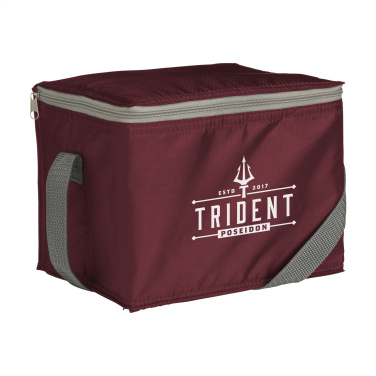 Logo trade promotional gifts image of: CoolMate RPET cooler bag