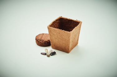 Logotrade promotional gift image of: Sunflower growing kit