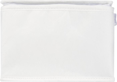 Logotrade advertising product picture of: Spectrum 6-can recycled non-woven cooler bag 4L