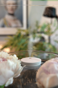 Logo trade corporate gift photo of: Breevia RCS rplasic re-chargeable floating humidifier