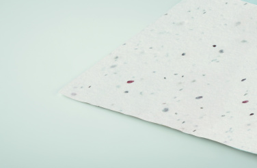 Logo trade promotional gift photo of: Wildflower seed business card.