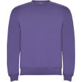 Clasica kids crewneck sweater, Irish purple