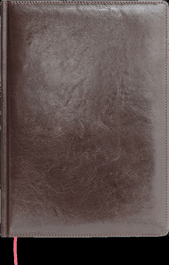 Logo trade ärikingituse pilt: Kalendermärkmik 642131