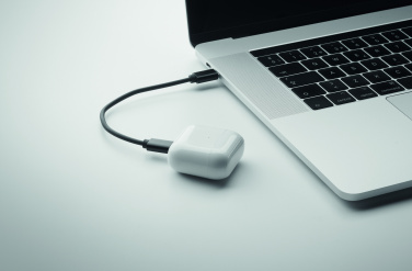 Logotrade meene foto: CAWATT 4 in 1 kaabli pistikute komplekt 15W