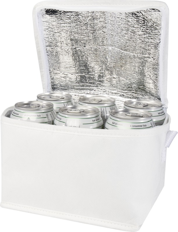 Logotrade firmakingitused pilt: Spectrum taaskasutatud materjalist külmakott 4L 6-purgile