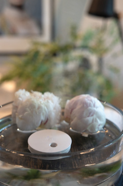 Logotrade reklaamtooted pilt: Breevia RCS plastikust laetav ujuv õhuniisutaja