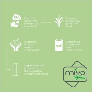 Logo trade mainostuotet tuotekuva: MIYO Renew yksikerroksinen lounasrasia