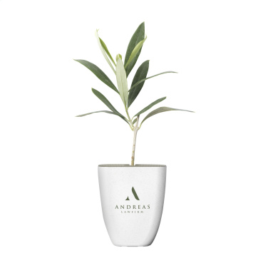 Logotrade liikelahjat kuva: Treemore Letterbox Trees Olive