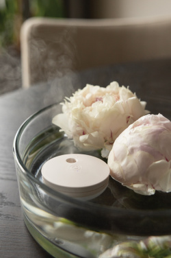 Logo trade mainoslahja kuva: Breevia RCS rplasic ladattava kelluva ilmankostutin