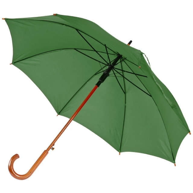 Лого трейд бизнес-подарки фото: Автоматический зонт, темно-зеленый