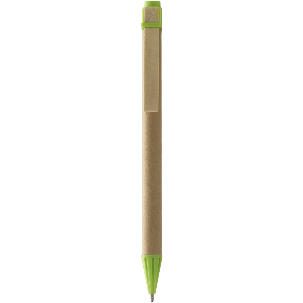 Логотрейд pекламные подарки картинка: Ручка шариковая Salvador, светло-зеленая
