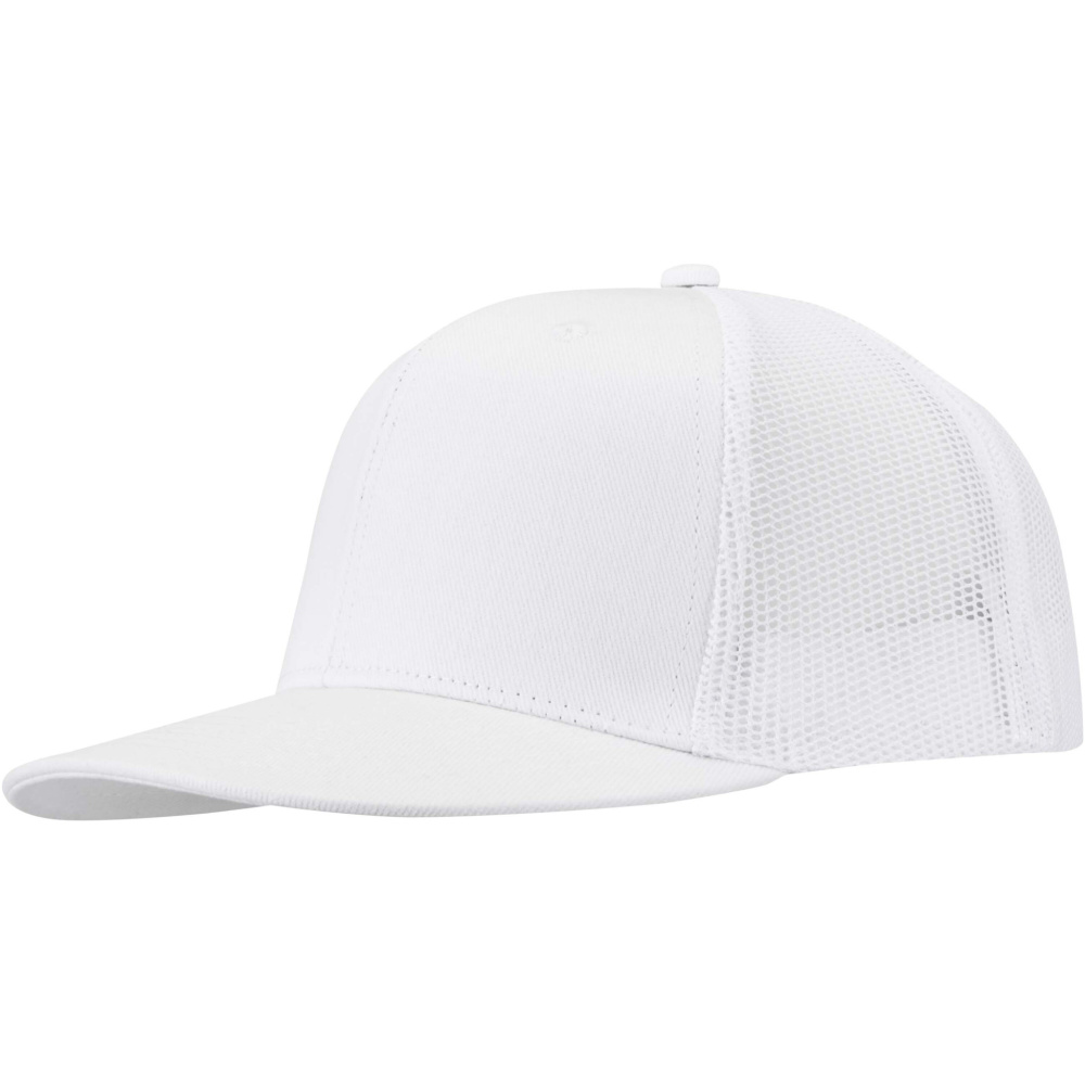 Лого трейд бизнес-подарки фото: 6-панельная кепка Drift Snapback 260 г/м2