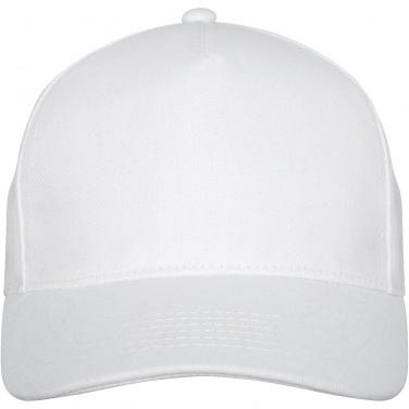 : Doyle 5-panels keps